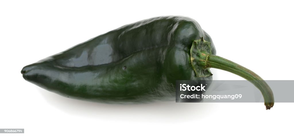 A poblano pepper isolated with a white background Chili Pepper Stock Photo