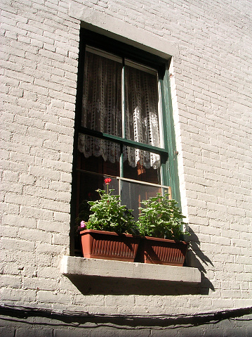 Window with two planters on ledge and white brick wall, NYC.