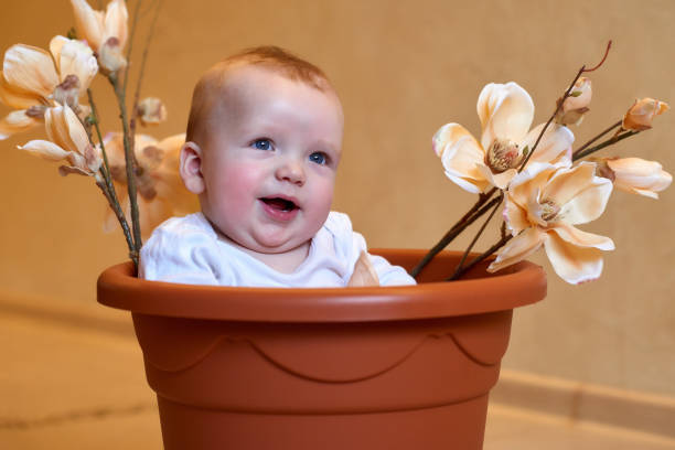 A small baby sits in a bucket