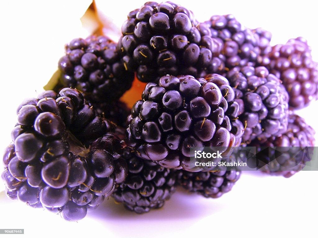 PurpleBlackBerry - 로열티 프리 0명 스톡 사진