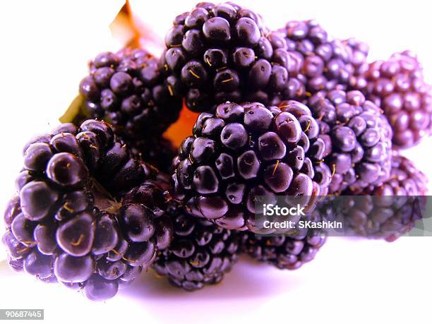 Purpleblackberry 0명에 대한 스톡 사진 및 기타 이미지 - 0명, 가까운, 가벼운