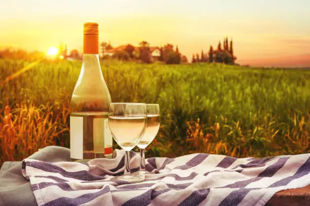 View of a picnic in the nature with bottle of white wine and appetizers. Picturesque farm seen in the background.