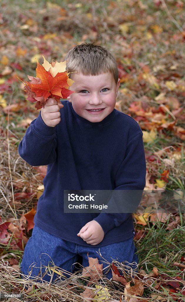 Petit homme dans les feuilles - Photo de Agenouillé libre de droits