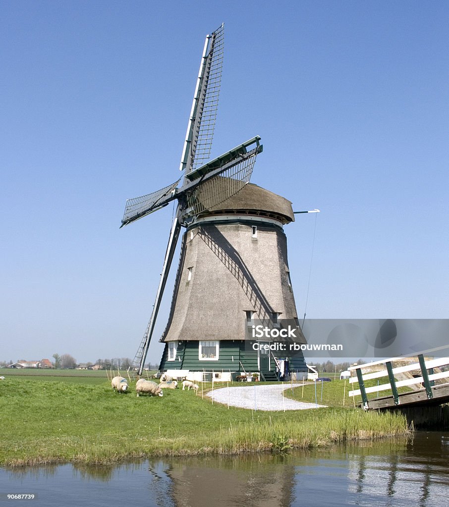 Moulin néerlandais - Photo de Aile d'animal libre de droits