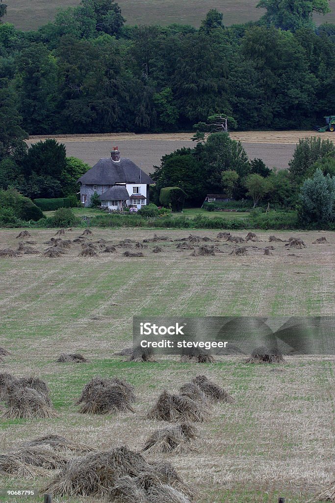 Rural England  Agricultural Field Stock Photo