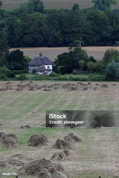 Rural England Stock Photo - Download Image Now - Agricultural Field, Agriculture, Chichester