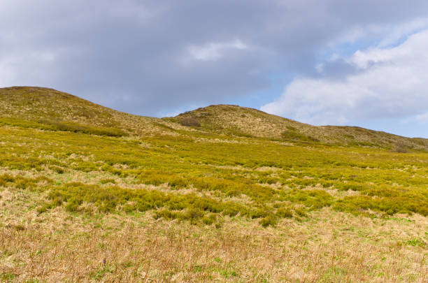 istock Landscape of Bieszczady Mountains, Poland 906878530