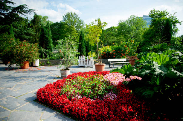 the botanical garden planten un blomen park in hamburg - blomen imagens e fotografias de stock