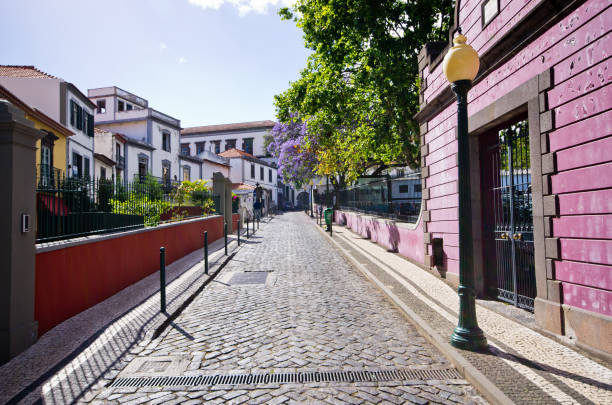 istock Paved street in Funchal, Madeira 906880260