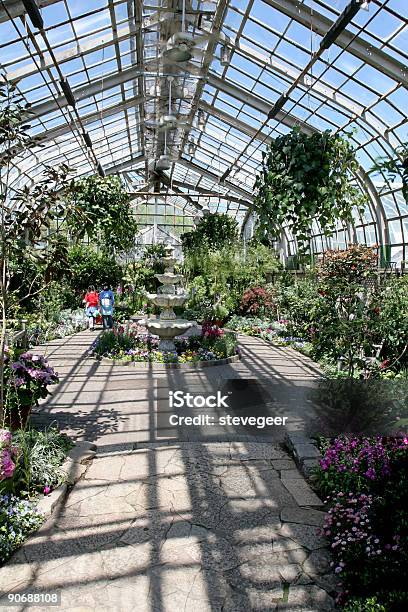 Inside The Lincoln Park Conservatory Stock Photo - Download Image Now - Chicago - Illinois, Greenhouse, Lincoln Park - Chicago