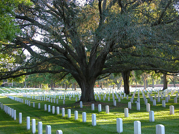 Veteran Cemetery stock photo