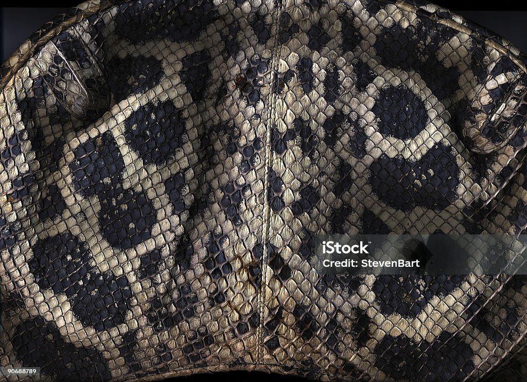 CARA DE PIEL DE SERPIENTE - Foto de stock de Color - Tipo de imagen libre de derechos