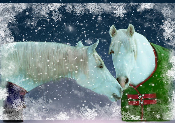istock Two Andalusians in a Winter Snow 906888158