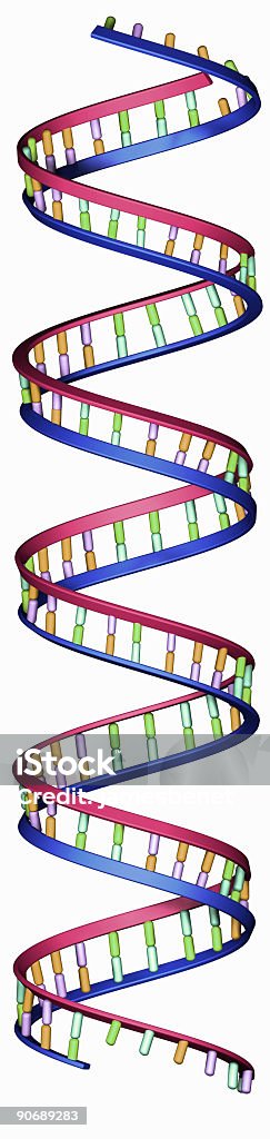 O DNA Strand - Foto de stock de Alimento Transgênico royalty-free
