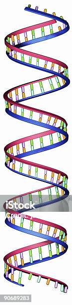 Foto de O Dna Strand e mais fotos de stock de Alimento Transgênico - Alimento Transgênico, DNA, Fotografia - Imagem