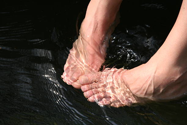 piedi a riposo - human foot barefoot sole of foot human toe foto e immagini stock