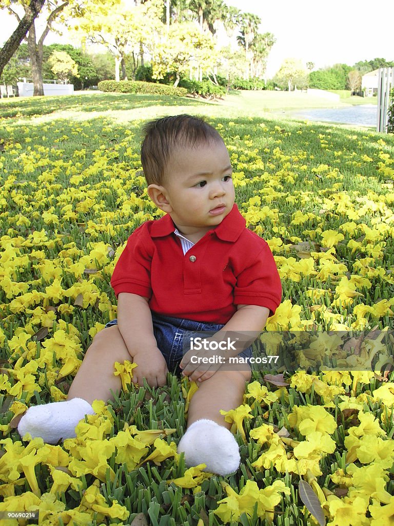 Ragazzo con fiori - Foto stock royalty-free di Amicizia