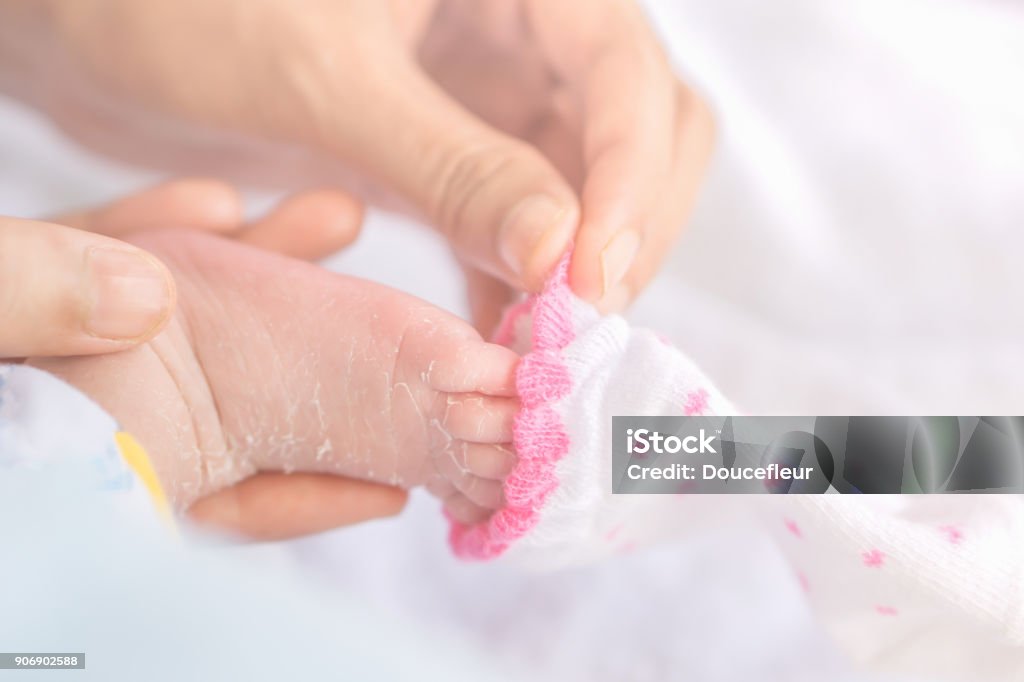 mother hand wearing socks for newborn baby feet in winter mother hand wearing socks for newborn baby feet in winter with love and care Baby - Human Age Stock Photo