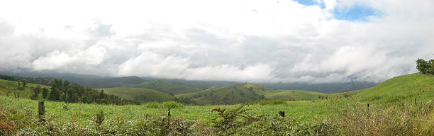 Country Side stock photo