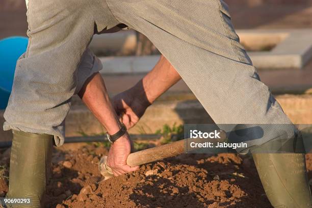 Man Working In A Vegetable Garden Stock Photo - Download Image Now - Gardening, Toughness, Adult