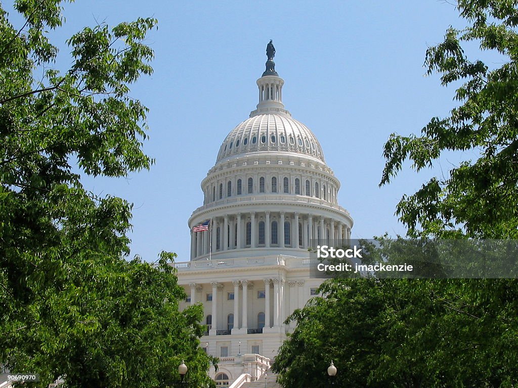 Capitol através de árvores - Royalty-free Governo Foto de stock