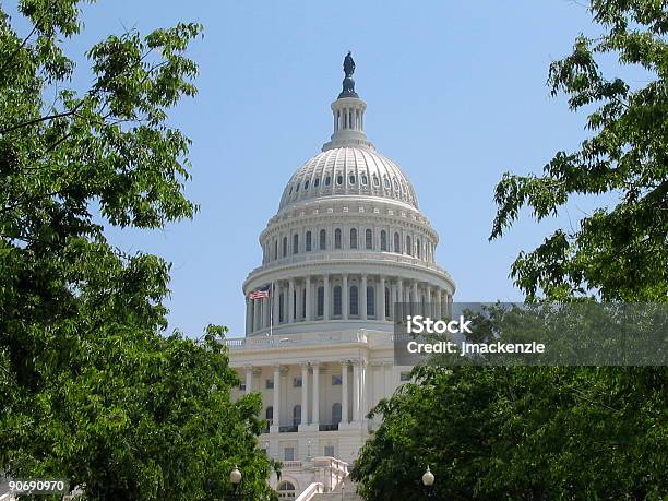 Capitol Através De Árvores - Fotografias de stock e mais imagens de Governo - Governo, Capitel, Casa