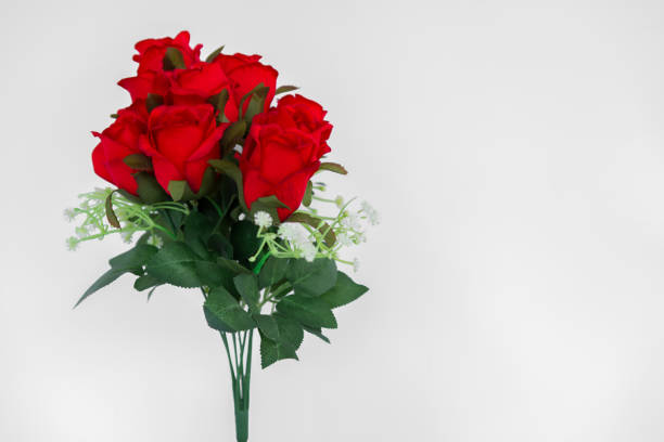 istock Rose - Flower, Backgrounds, Beauty, Close-up, Colors 906910836