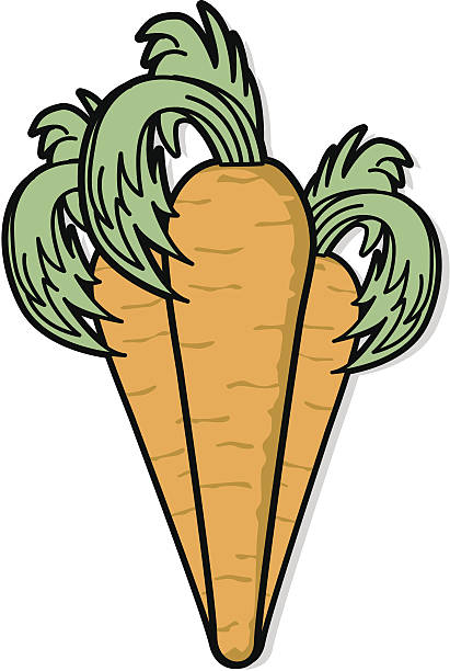 Bunch of carrots vector art illustration