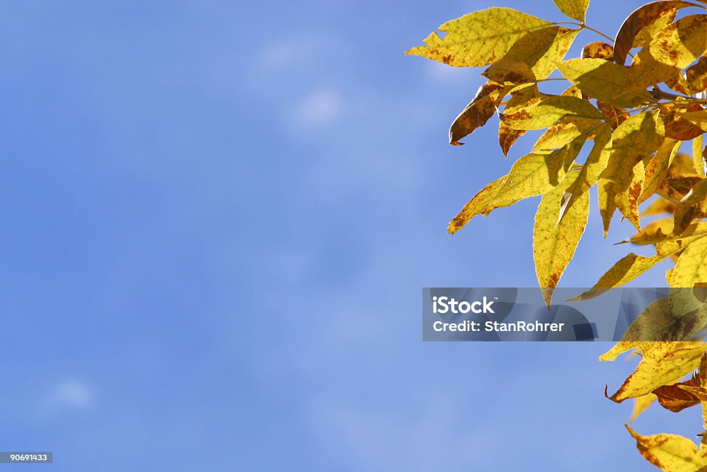 Golden deja sobre cielo azul - Foto de stock de Amarillo - Color libre de derechos