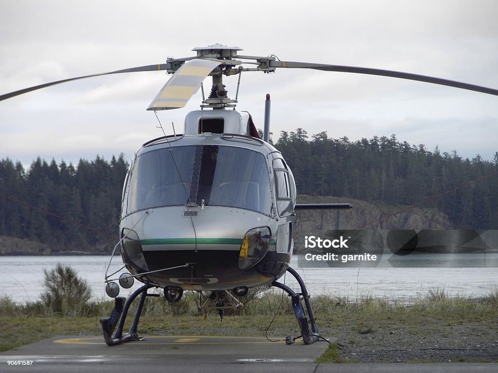Chopper nosa - Zbiór zdjęć royalty-free (Bez ludzi)
