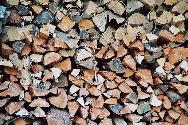 Woodpile stock photo