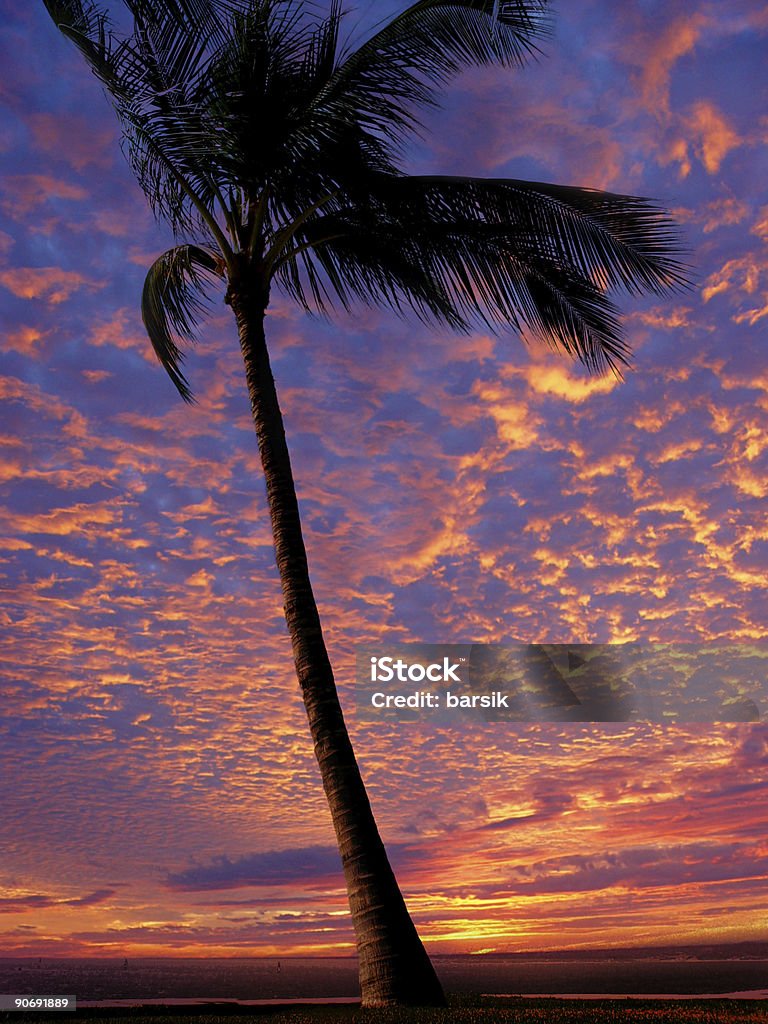 Spiaggia al tramonto - Foto stock royalty-free di Acqua