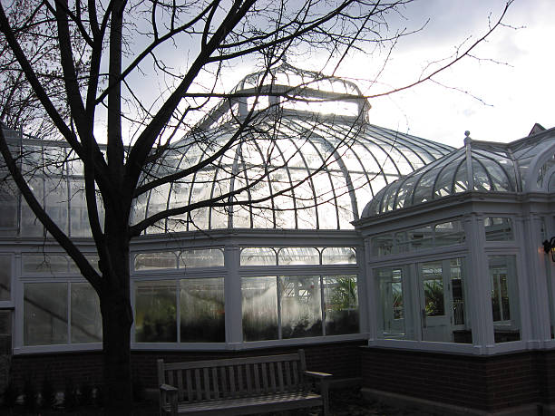 istock greenhouse in late autumn 1 90692350