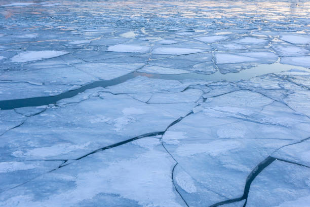 feuilles de glace sur le lac gelé - solidified photos et images de collection
