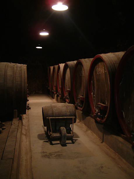 istock Barrels of wine 90692793