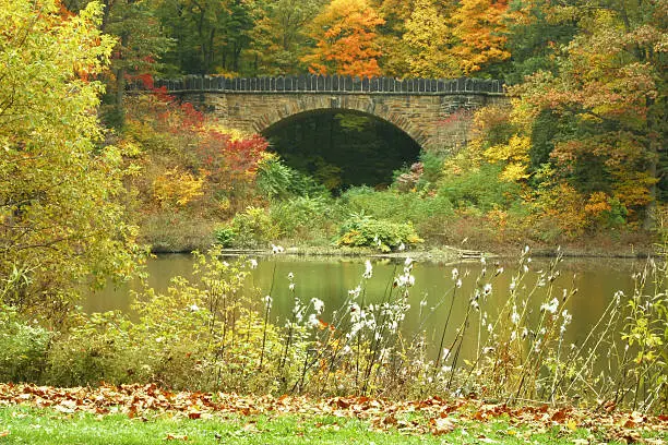 Photo of Autumn Bridge - Youngstown, Ohio