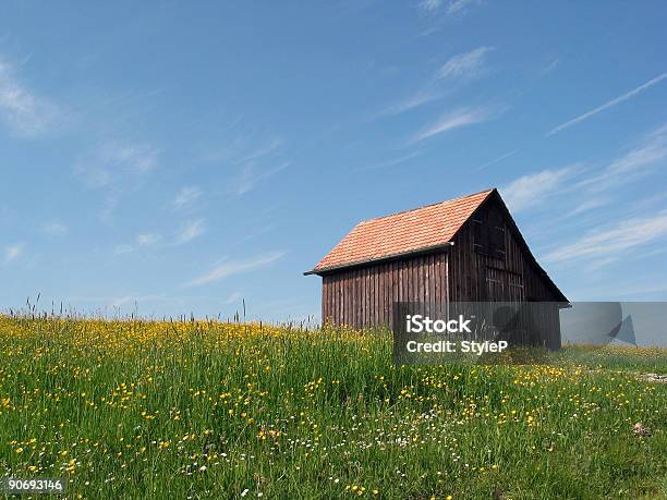 Un Prado Spring Foto de stock y más banco de imágenes de Aire libre - Aire libre, Azul, Cabaña