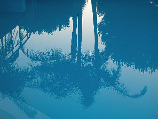 Pool reflections stock photo