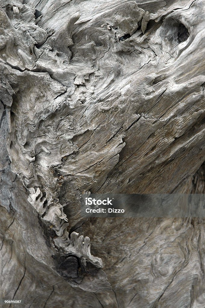 DriftWood detalle - Foto de stock de Cerca de libre de derechos