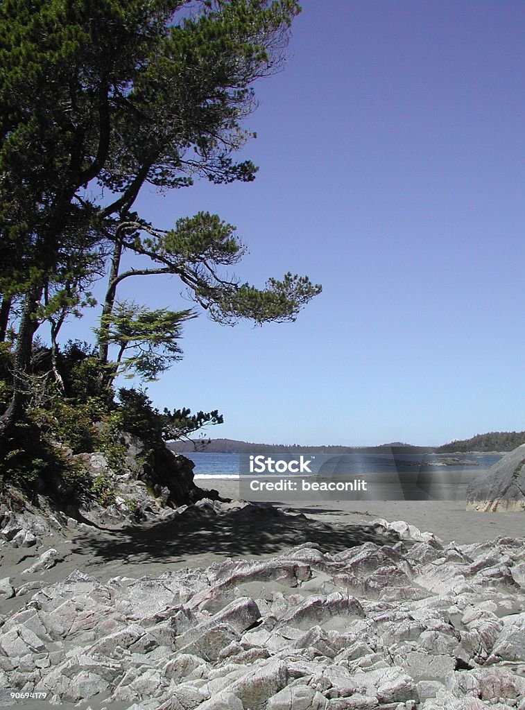 Spiaggia del Tonquin, Tofino, BC - Foto stock royalty-free di Ambientazione esterna