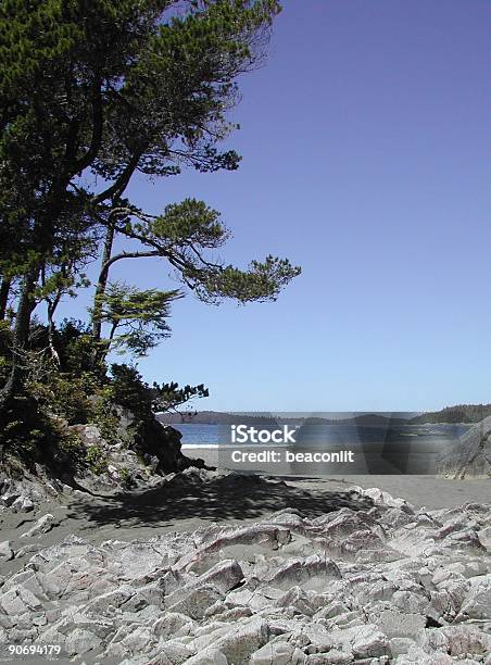 Spiaggia Del Tonquin Tofino Bc - Fotografie stock e altre immagini di Ambientazione esterna - Ambientazione esterna, Composizione verticale, Fotografia - Immagine