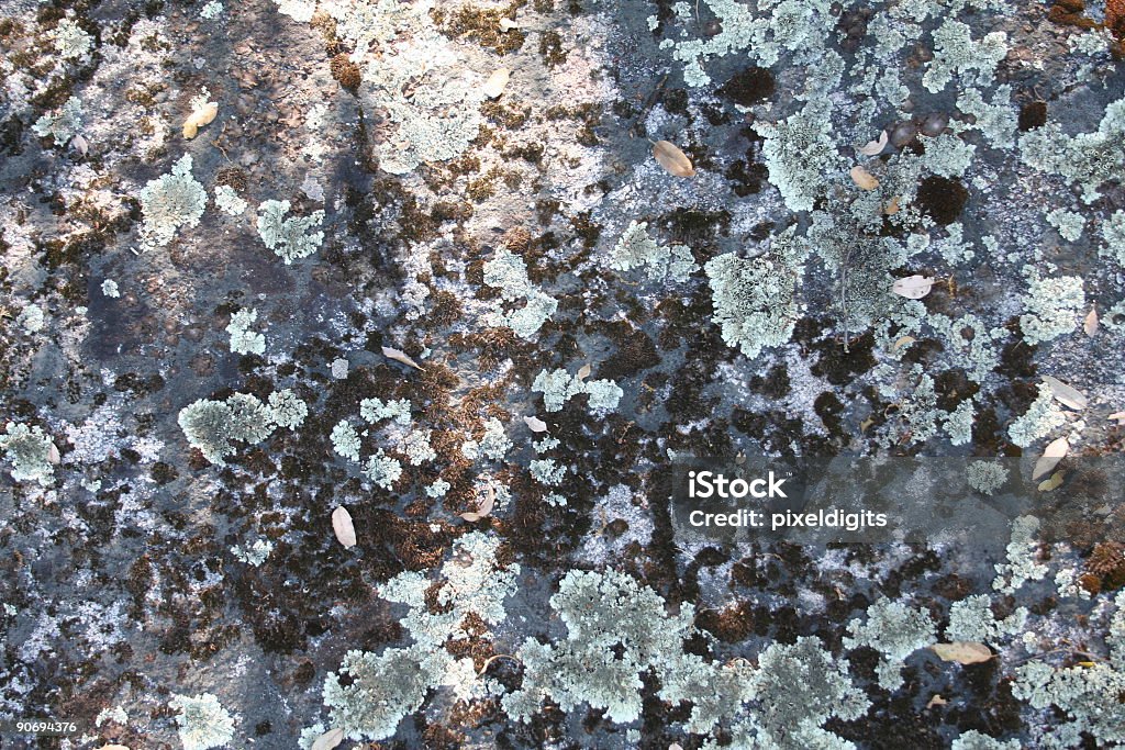 Grunge moss coberto rock - Foto de stock de Alga royalty-free