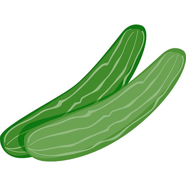 Veggiecucumber Stock Illustration - Download Image Now - Cucumber, Cartoon,  Color Image - iStock