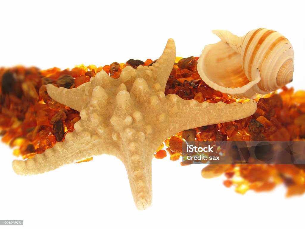 Морская звезда & Sea Shell - Стоковые фото Без людей роялти-фри