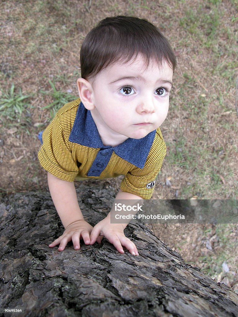 Große, helle Augen suchen einen Baum - Lizenzfrei Baby Stock-Foto