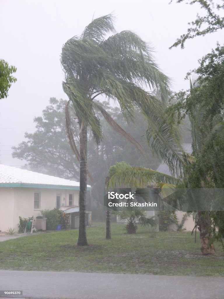 Storm - Foto de stock de Florida - Estados Unidos libre de derechos