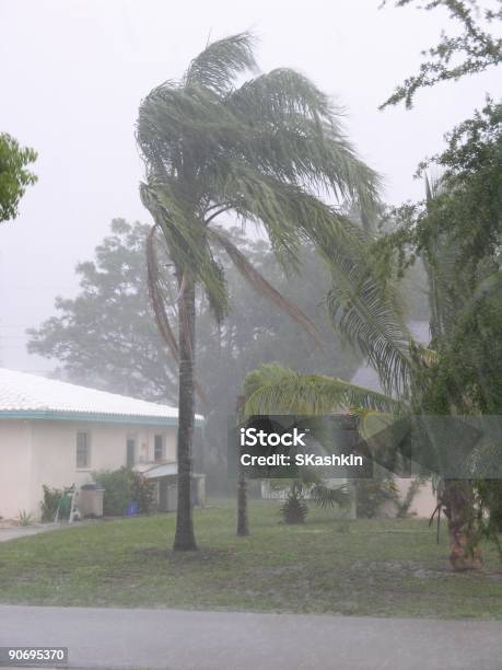 Storm Foto de stock y más banco de imágenes de Florida - Estados Unidos - Florida - Estados Unidos, Lluvia, Tormenta - Tiempo atmosférico