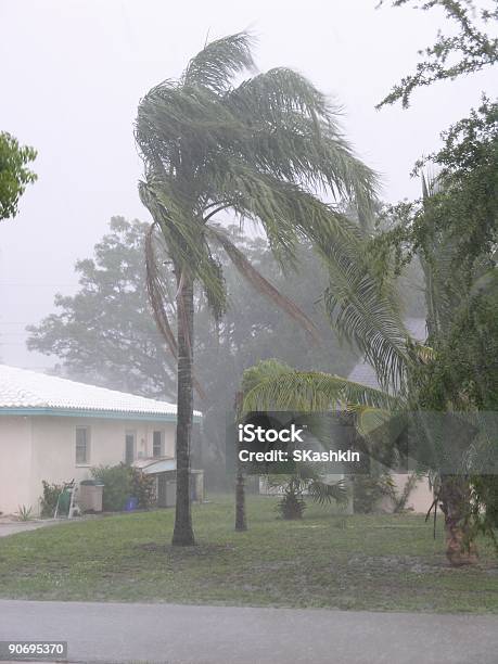 Storm - Fotografie stock e altre immagini di Florida - Stati Uniti - Florida - Stati Uniti, Pioggia, Tempesta