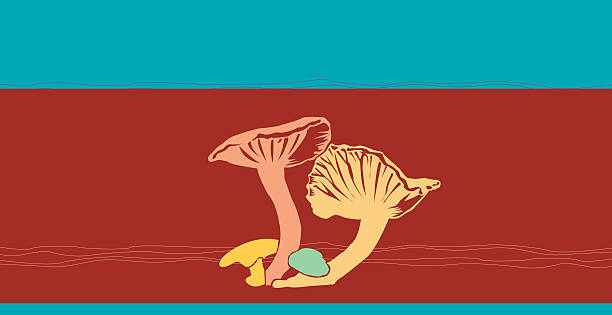 Shrooms - illustrazione arte vettoriale