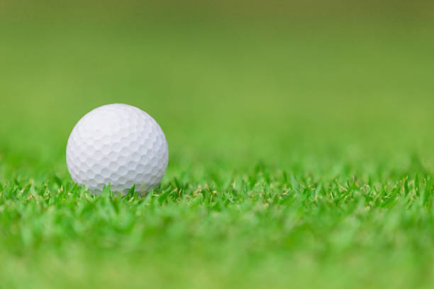 istock Close up of Golf ball on the green grass 906954502